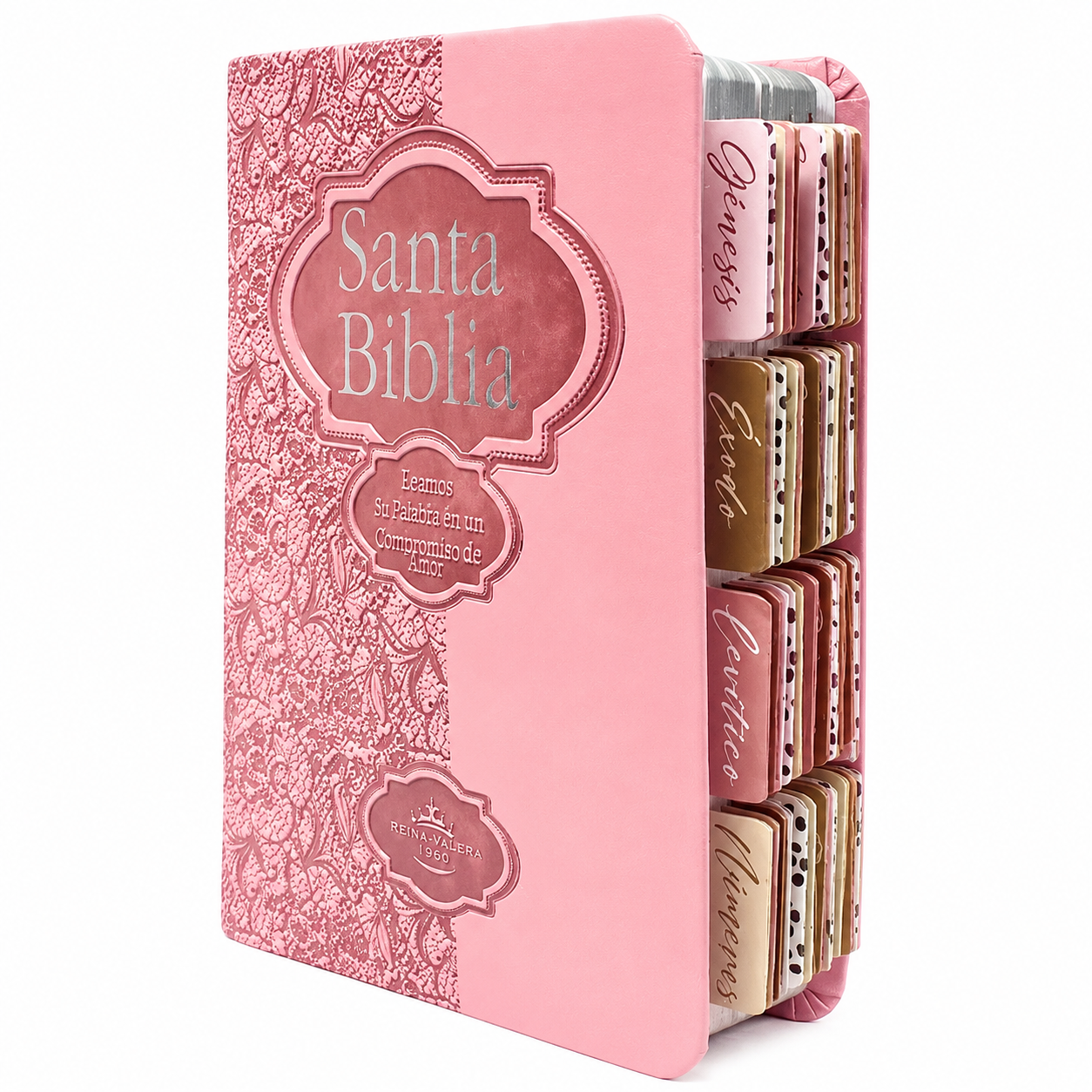Biblia Reina Valera 1960 Fuente de Bendición Rosa PERSONALIZADA + Tabs