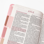 Biblia Reina Valera 1960 Fuente de Bendición Rosa PERSONALIZADA + Tabs