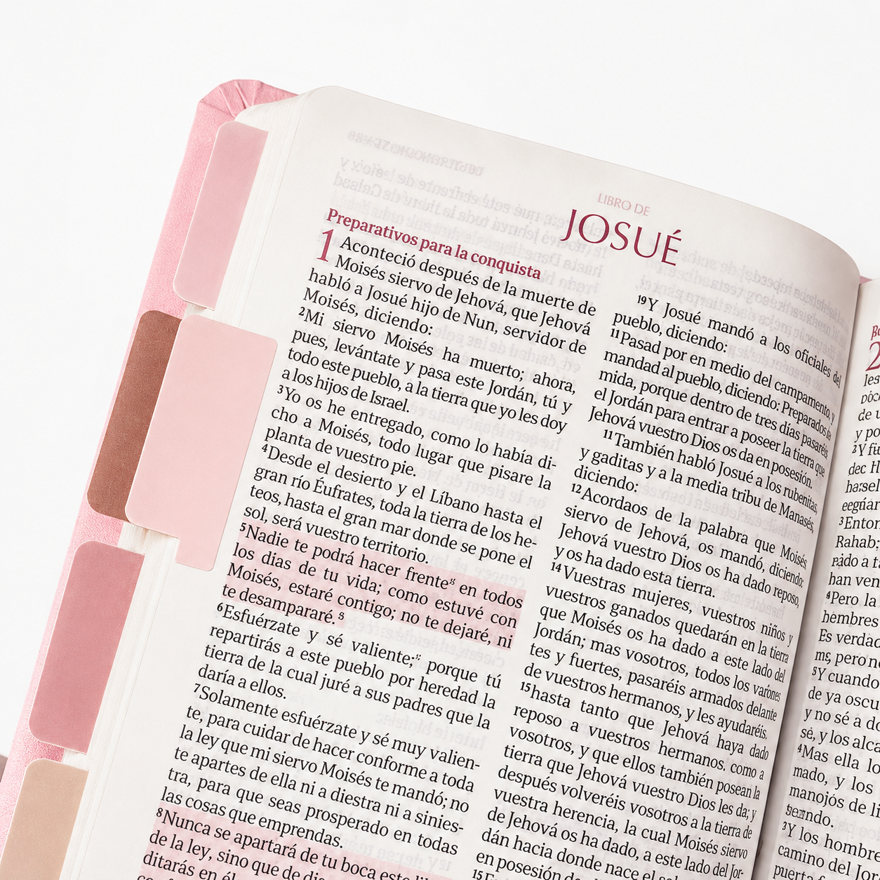 Biblia Reina Valera 1960 Fuente de Bendición Rosa PERSONALIZADA + Tabs