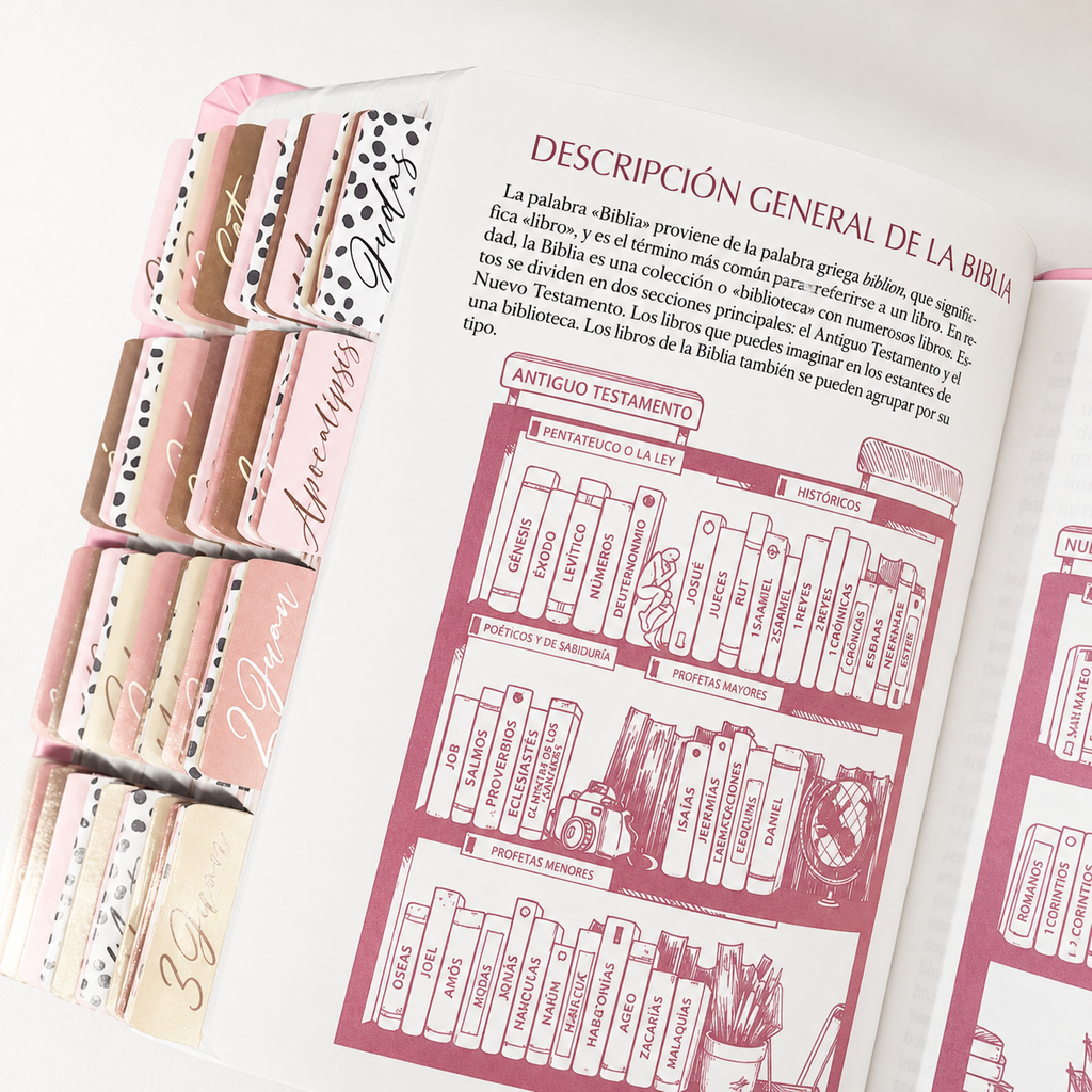 Biblia Reina Valera 1960 Fuente de Bendición Rosa PERSONALIZADA + Tabs