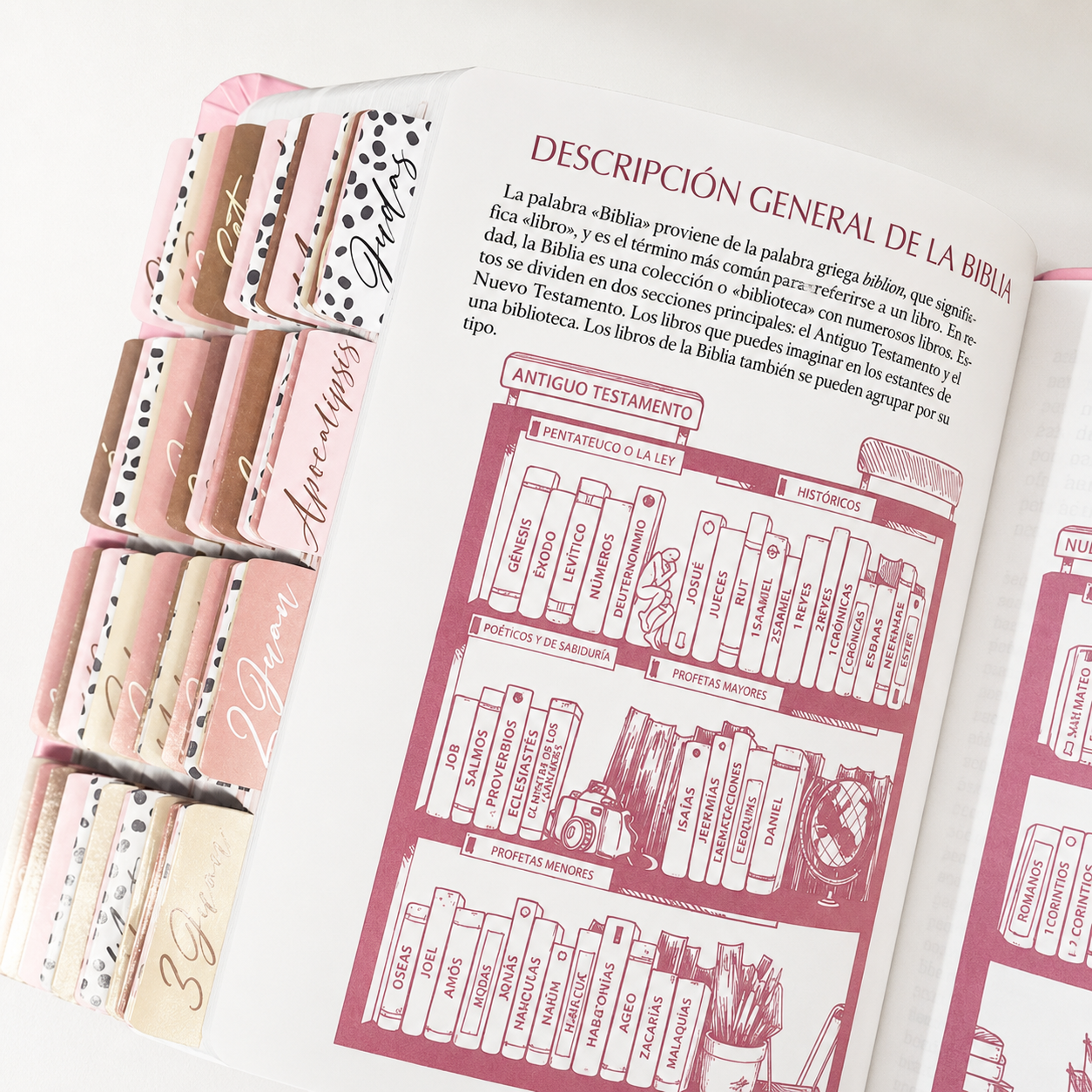 Biblia Reina Valera 1960 Fuente de Bendición Rosa PERSONALIZADA + Tabs