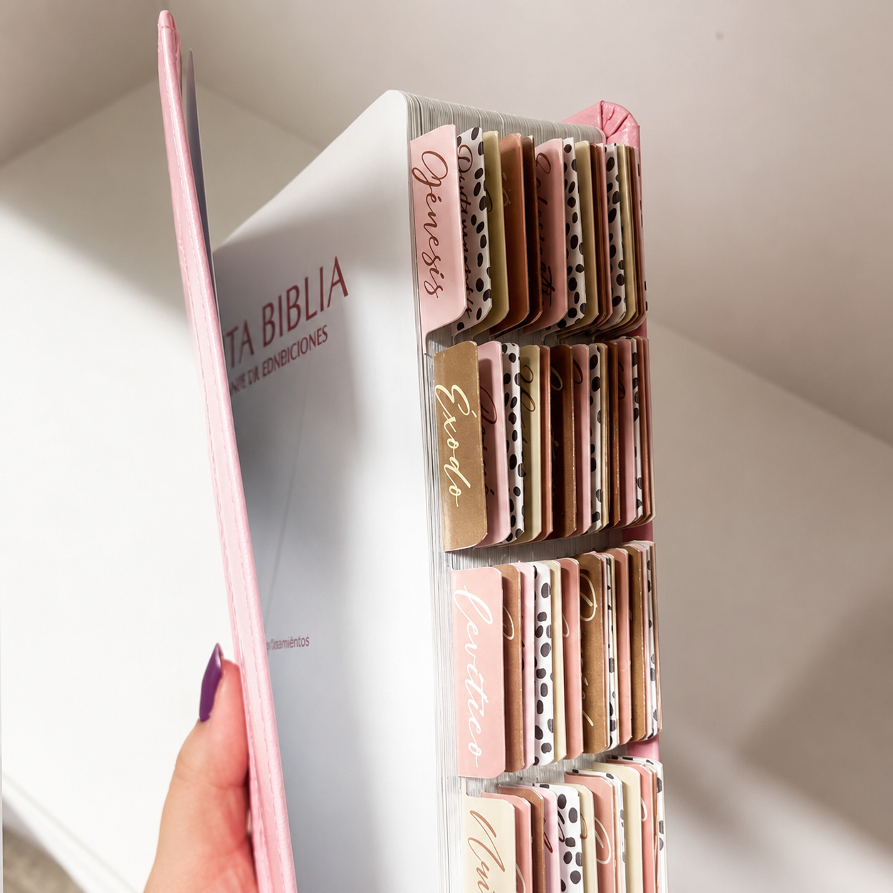 Biblia Reina Valera 1960 Fuente de Bendición Rosa PERSONALIZADA + Tabs
