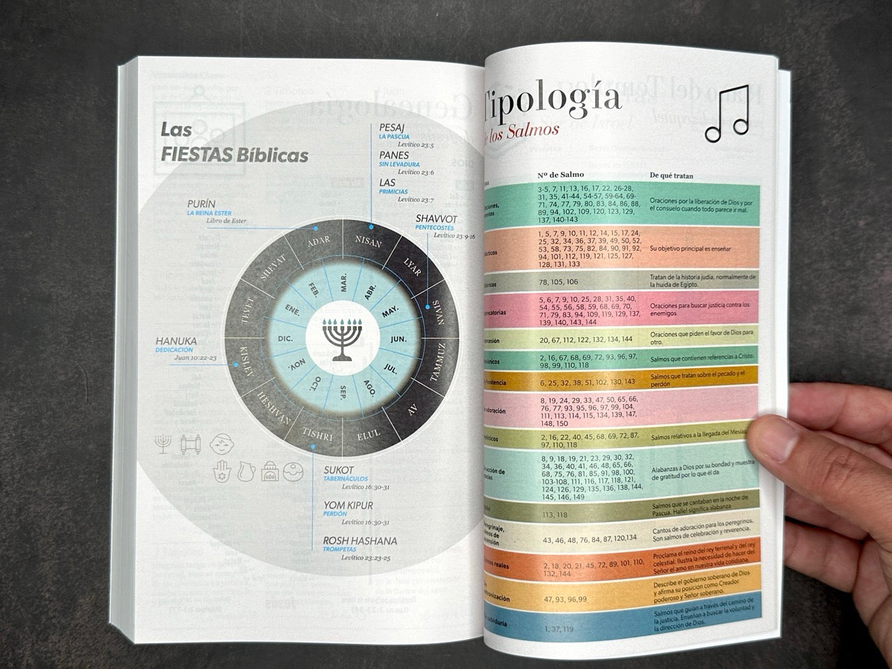 Biblia RVR 1960 económica