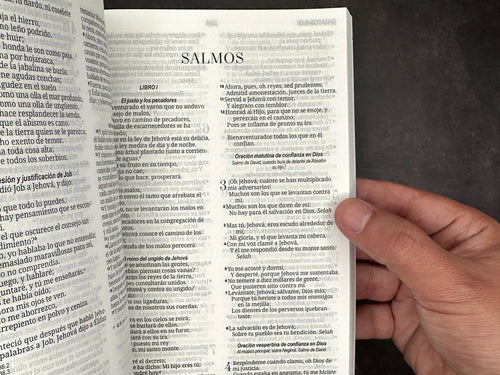 Biblia Economica RVR 1960