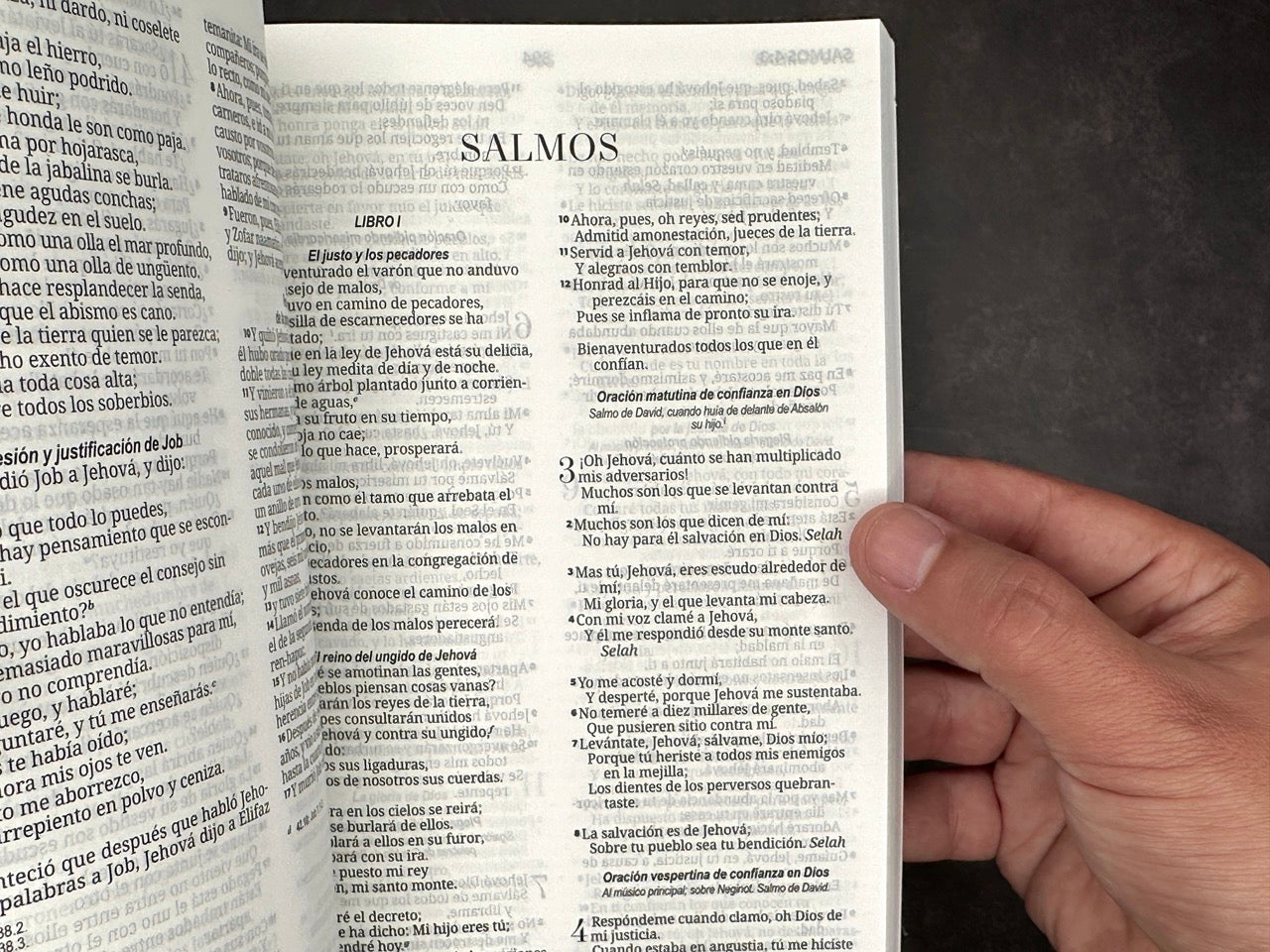 Biblia económicas RVR 1960 león