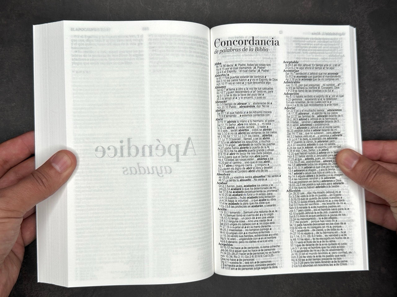 Biblia RVR 1960 económica