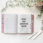 The Jesus Bible with pre-installed tabs, in pink.