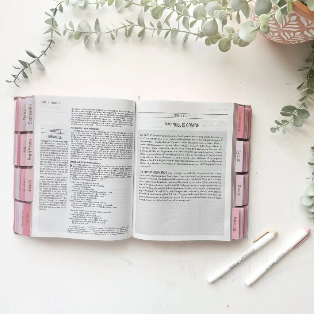 The Jesus Bible with pre-installed tabs, in pink.
