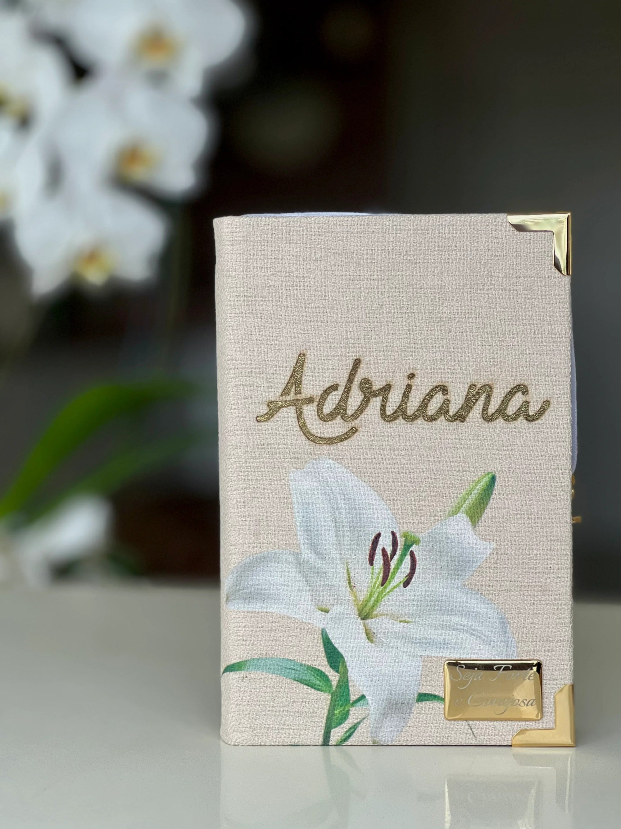 Biblia RVR 1960 letra grande personalizada